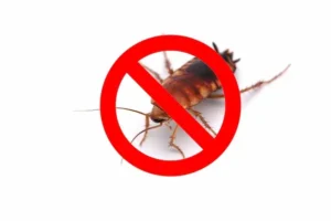 exterminator vancouver